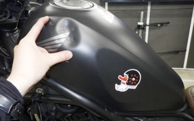 HONDA REBEL 250 S MC49