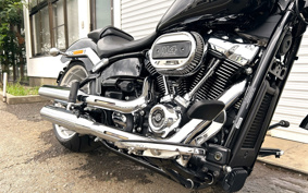 HARLEY FLFBS 2025 YGK