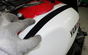 YAMAHA XSR900 2021 RN56J