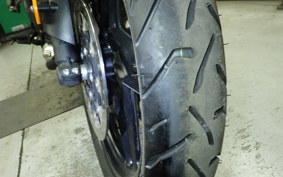 TRIUMPH TIGER 800 XR T 2019