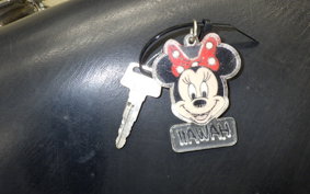 YAMAHA VIRAGO 250 3DM