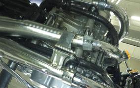 KAWASAKI 250SS 2010 S1F