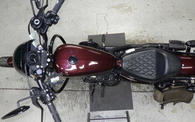 OTHER +HD. XL1200NS 2018