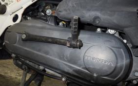HONDA ZOOMER AF58