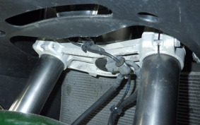 KAWASAKI NINJA 1000SX 2021 ZXT02K