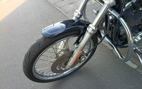 HARLEY XL1200C 2006 CGP