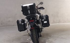 TRIUMPH TIGER 900 RALLY 2023 TRE67D