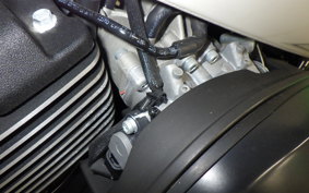 HARLEY XG750 STREET ROD 2020