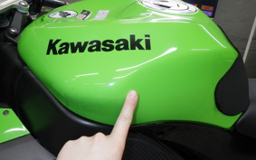 KAWASAKI ZX 10 NINJA R 2010