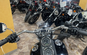 HARLEY FXDLI 2015 GN4