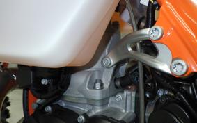 KTM 250 EXC SIXDAYS 2024