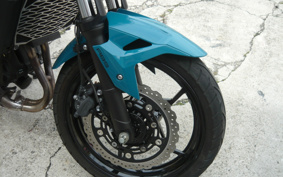 KAWASAKI Z250 EX250P