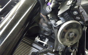 YAMAHA MT-25 A RG43J