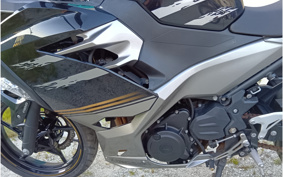KAWASAKI NINJA 250 EX250P