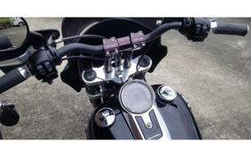 HARLEY FLSB 2019 YMJ