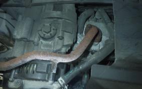 YAMAHA JOG Gen.5 2003 SA36J