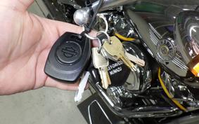 HARLEY FLSTFI1920 2025