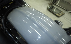 OTHER THUNDER 250 2025