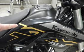 KAWASAKI KLX230SM LX230A