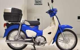 HONDA C110 SUPER CUB JA44
