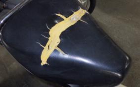 HONDA C50 SUPER CUB AA01