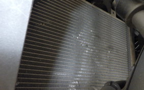 KAWASAKI ZX-4RR 2024 ZX400P