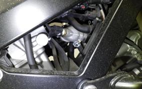 SUZUKI Vｽﾄﾛｰﾑ650XTA 2017 C733A