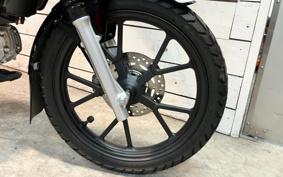 DUCATI DIAVEL DIESEL 2017 GC00