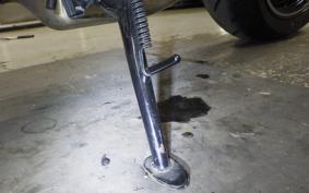 KAWASAKI Z900RS 2024 ZR900K