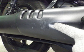 HARLEY RH975 2022