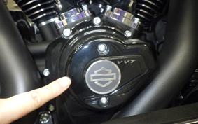 HARLEY FLTRXL1920 2026