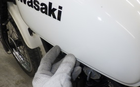 KAWASAKI 250TR 2024 BJ250F