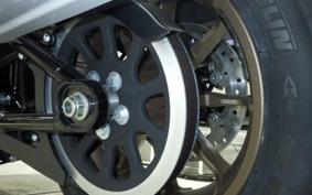 HARLEY FXLRST1920 2025