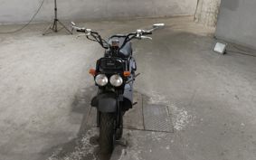 HONDA ZUMAR AF58