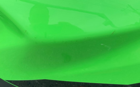 KAWASAKI NINJA 400 KRT ED 2022 EX400G