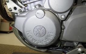 KAWASAKI SUPER SHERPA KL250G