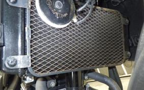 SUZUKI Vｽﾄﾛｰﾑ250A 2007