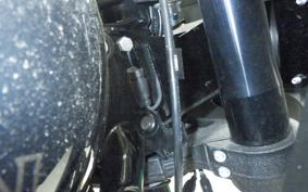HARLEY FXLRST1920 2024