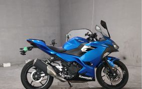 KAWASAKI NINJA 250 EX250P