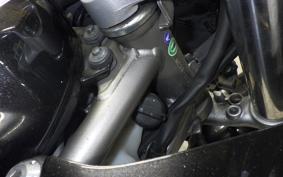 HONDA VTRF250 2023 MC33
