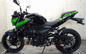 KAWASAKI Z250 EX250Y