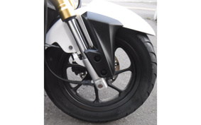 HONDA ZOOMER-X JF38