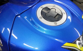 SUZUKI GSX-R1000R A 2020 DM11G