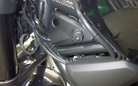 HARLEY RH1250S 2022