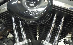 HARLEY XL1200XS 2019