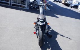 SUZUKI GLASS TRACKER BIG BOY NJ4BA