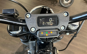 HARLEY FXBB 2019 YJJ