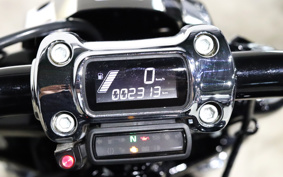HARLEY FXBRS 2021 YHK