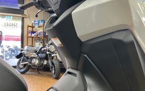 HONDA  FORZA 250 MF17