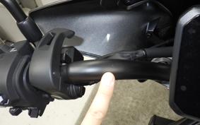 HONDA REBEL 1100 T DCT 2026 SC87